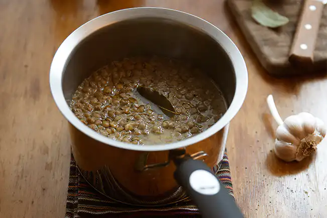 Lentilha do dia a dia